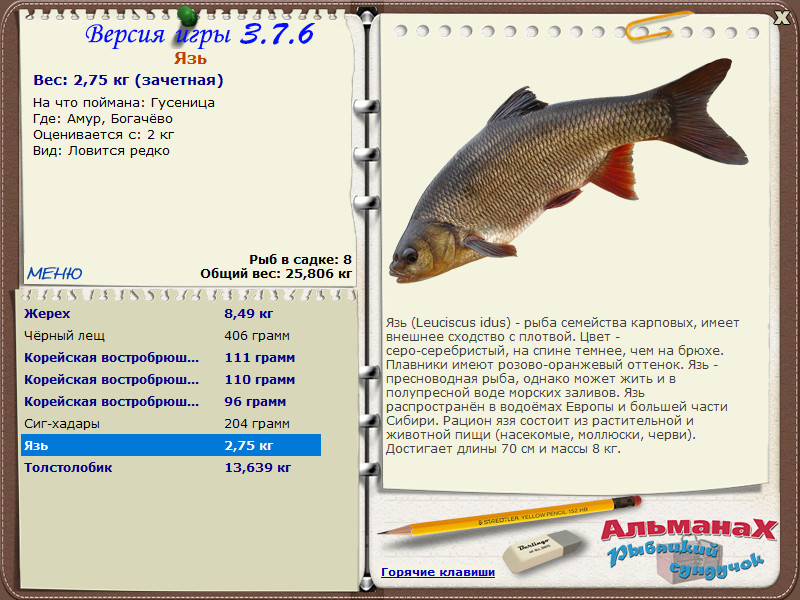 Амур 