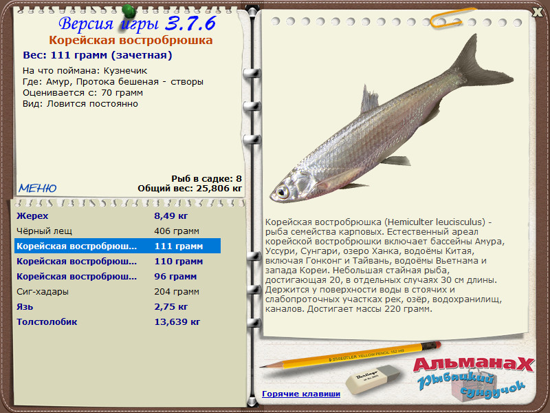 Амур 
