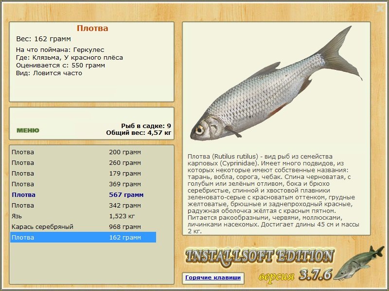 У красного плёса 