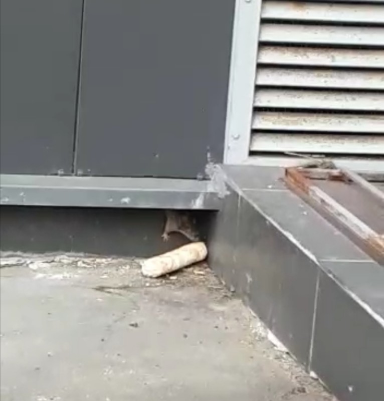  Редактировать сообщение