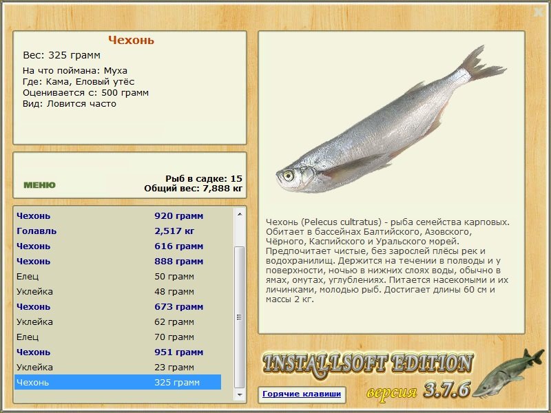 Еловый утёс 