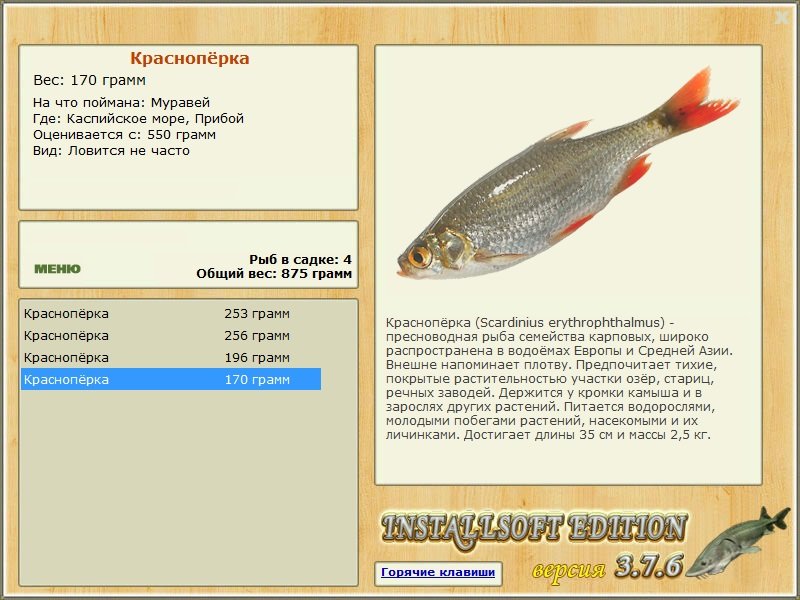 Прибой 
