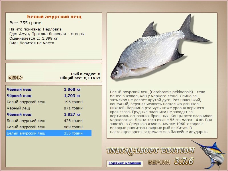  створы • Амур • РУССКАЯ РЫБАЛКА