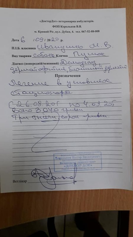 Финансовый отчет Пушка 