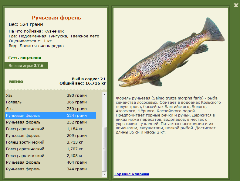 турниры • РУССКАЯ РЫБАЛКА