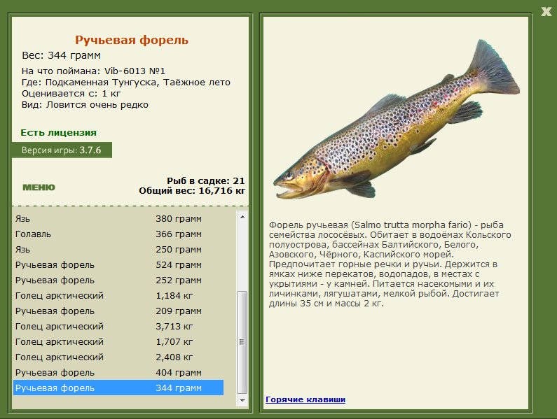 турниры • РУССКАЯ РЫБАЛКА