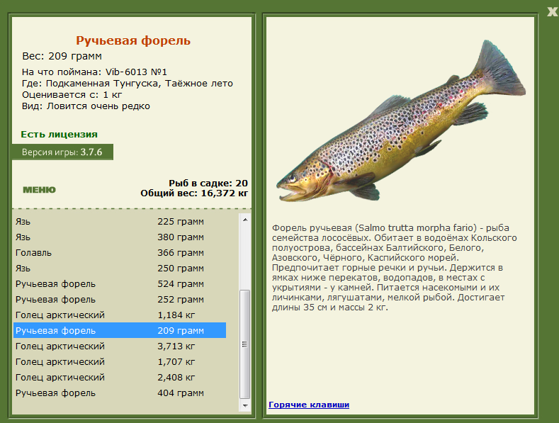турниры • РУССКАЯ РЫБАЛКА