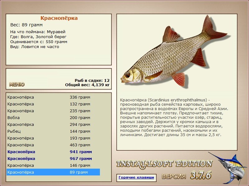 Золотой берег 