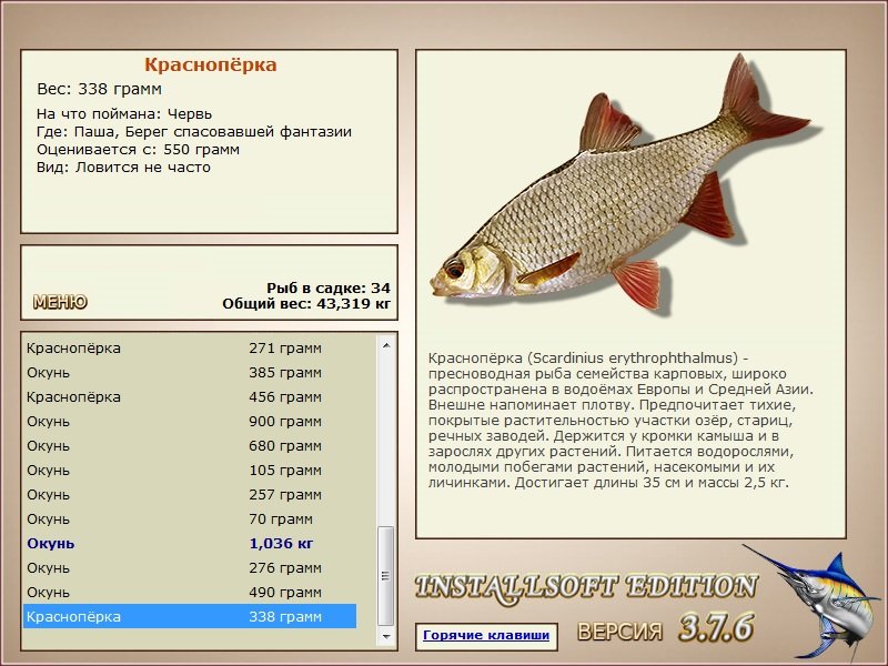 турниры • РУССКАЯ РЫБАЛКА