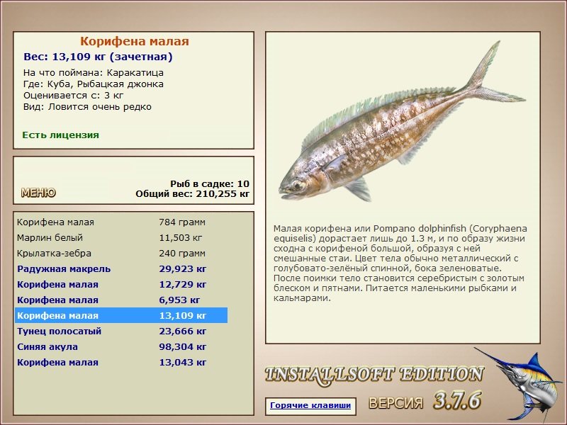 Рыбацкая джонка 