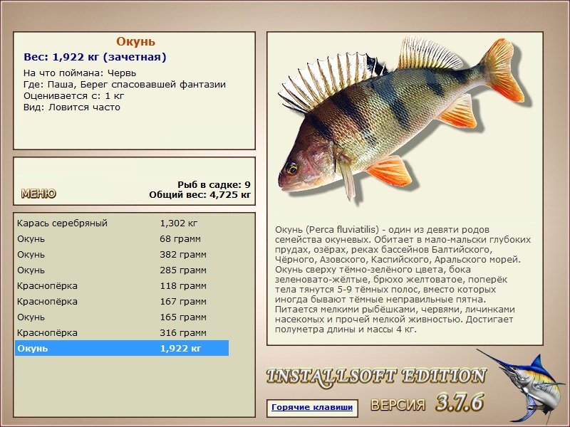 турниры • РУССКАЯ РЫБАЛКА
