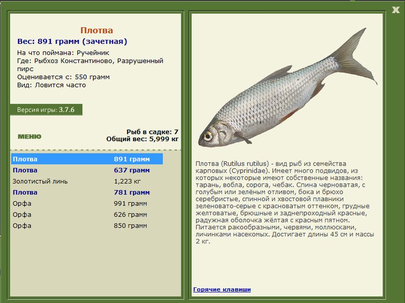 Рыбхоз Константиново 