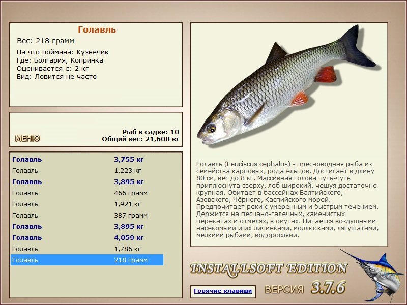 Копринка 