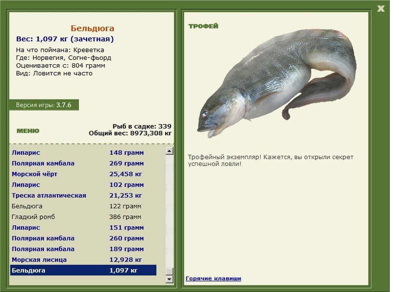 Бельдюга 