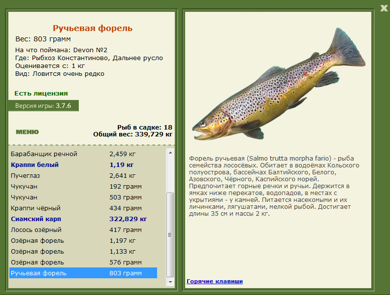 турниры • РУССКАЯ РЫБАЛКА