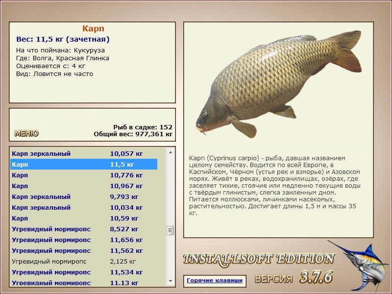 турниры • РУССКАЯ РЫБАЛКА