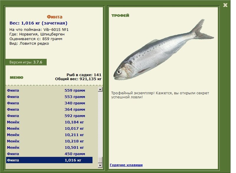 Финта 