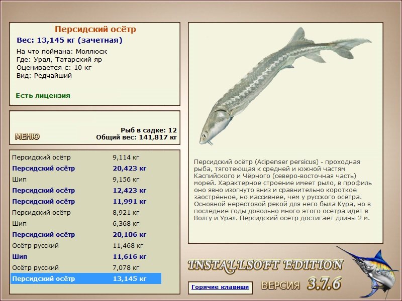 турниры • РУССКАЯ РЫБАЛКА