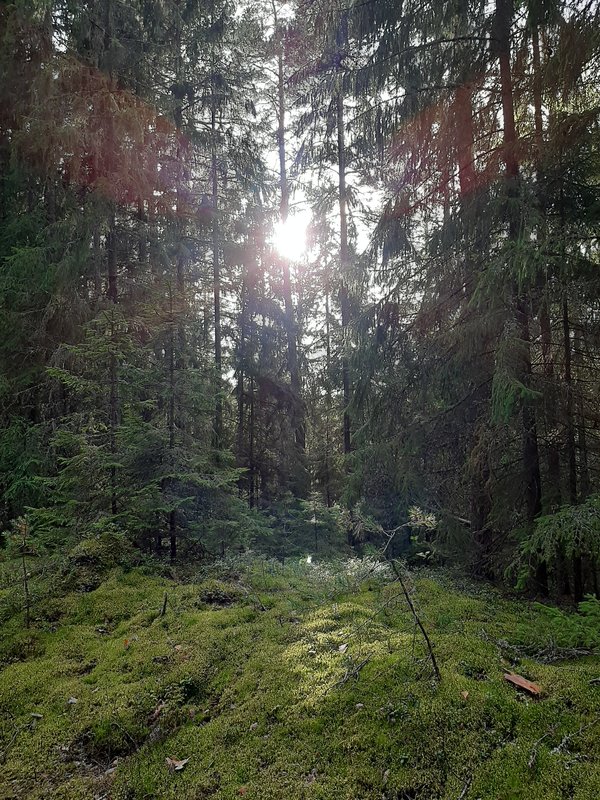  Страница 77 - Форум 