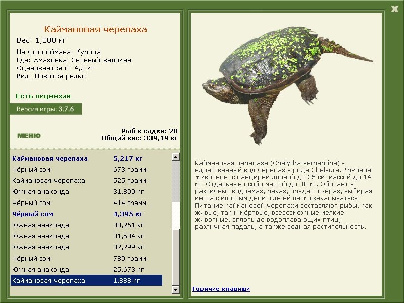 турниры • РУССКАЯ РЫБАЛКА