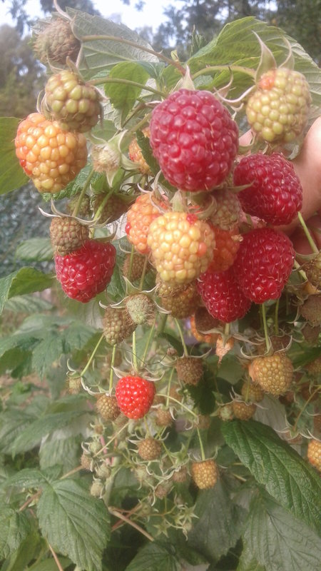  Страница 4 - Форум 