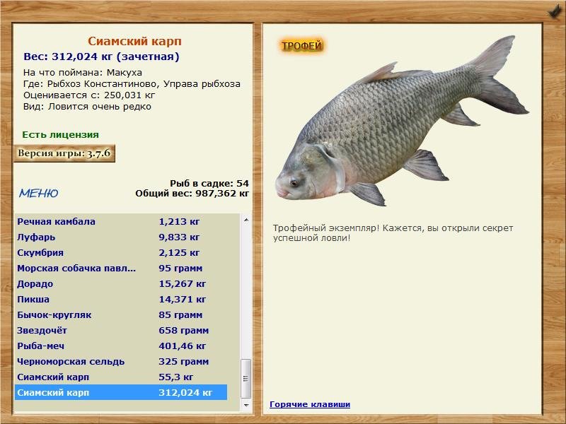 Управа рыбхоза 