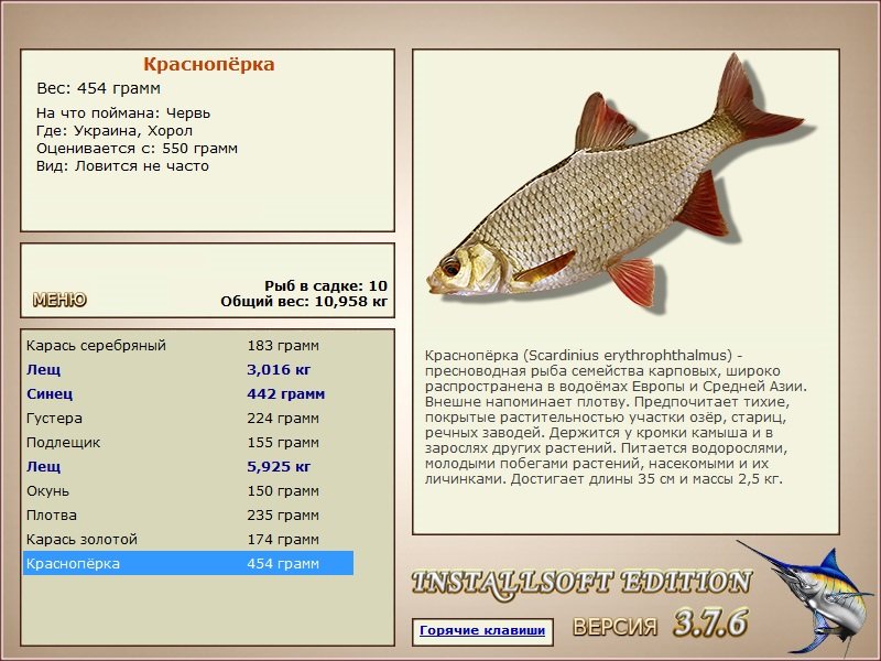 Хорол 