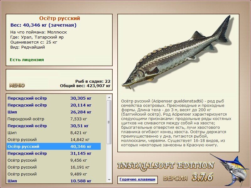 Татарский яр 