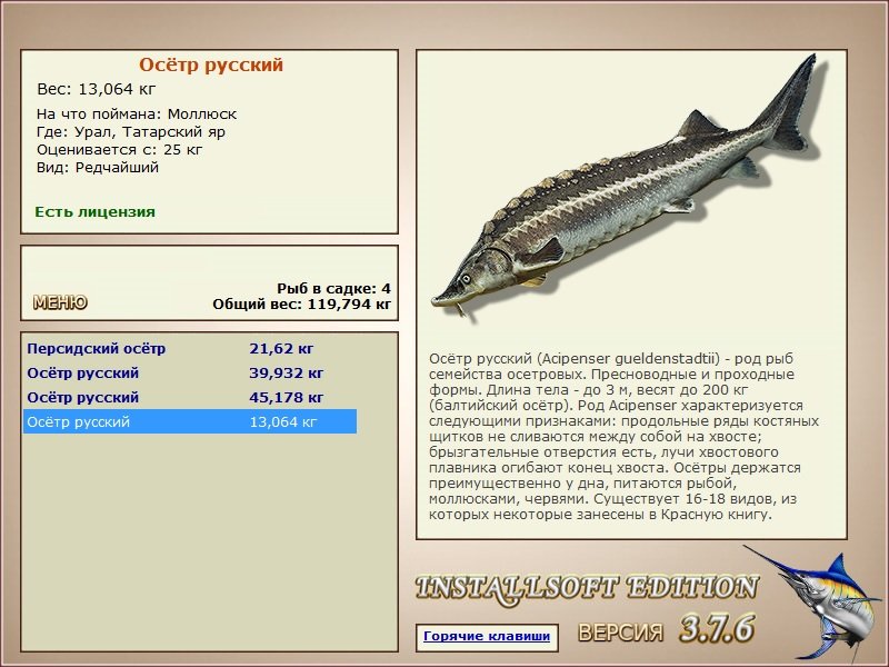 турниры • РУССКАЯ РЫБАЛКА