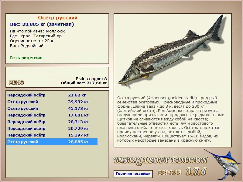 турниры • РУССКАЯ РЫБАЛКА
