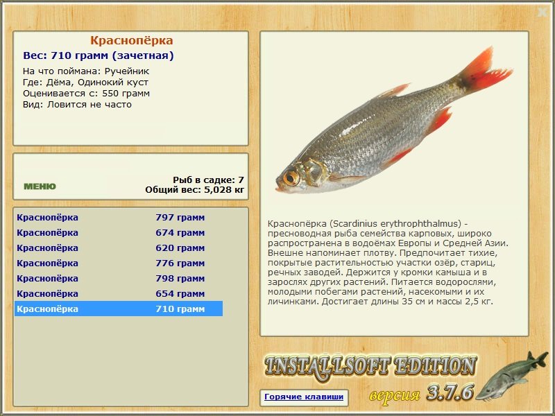 Одинокий куст 