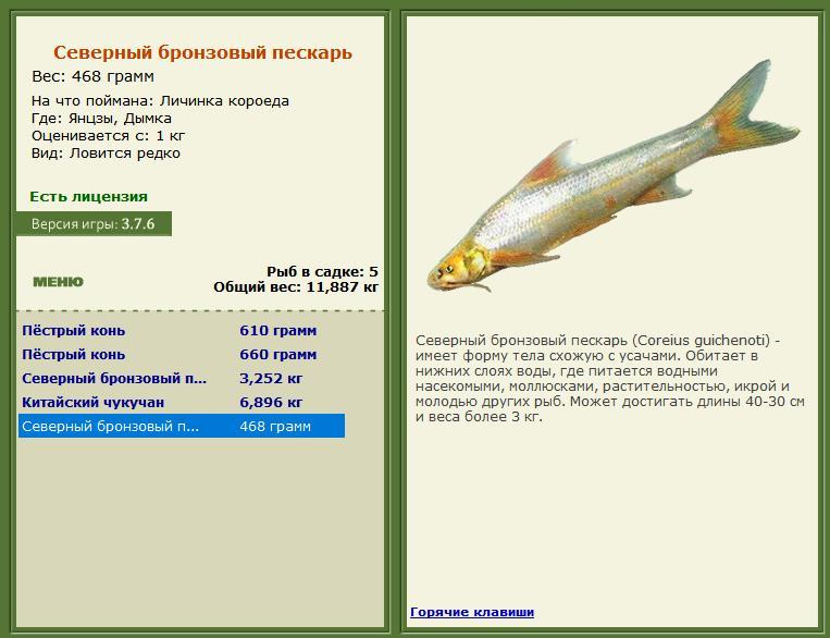 Дымка 