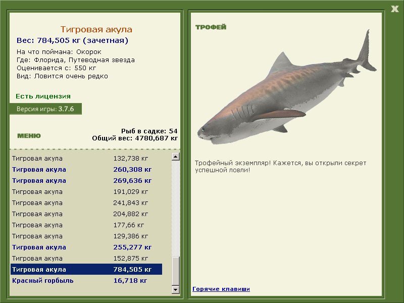 Тигровая акула 