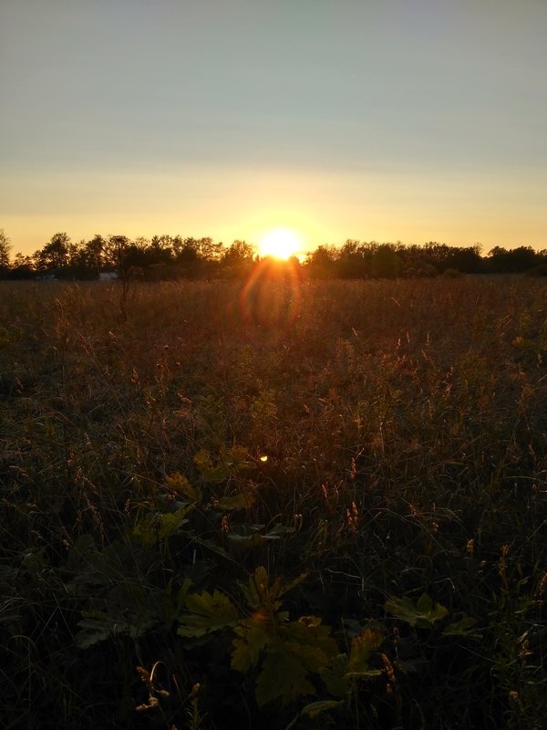  Страница 78 - Форум 