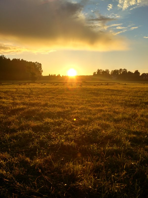  Страница 78 - Форум 