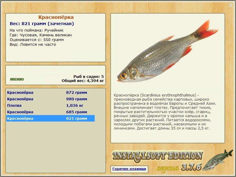 Камень великан 