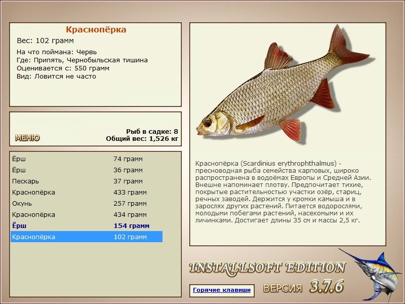 турниры • РУССКАЯ РЫБАЛКА