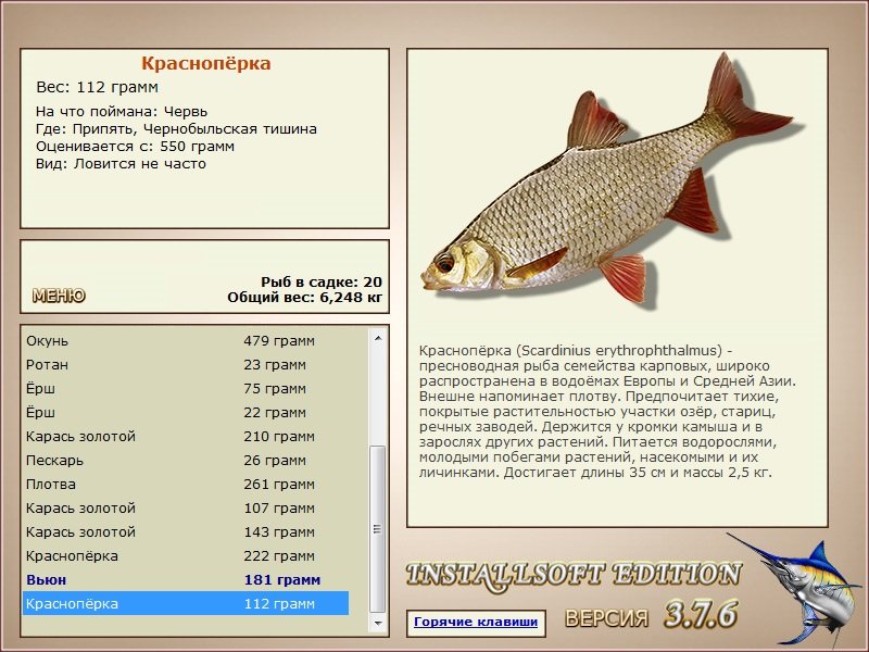 турниры • РУССКАЯ РЫБАЛКА