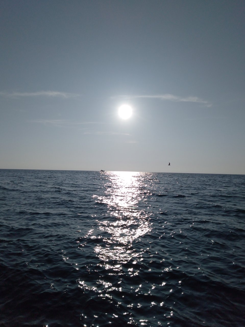  Страница 79 - Форум 