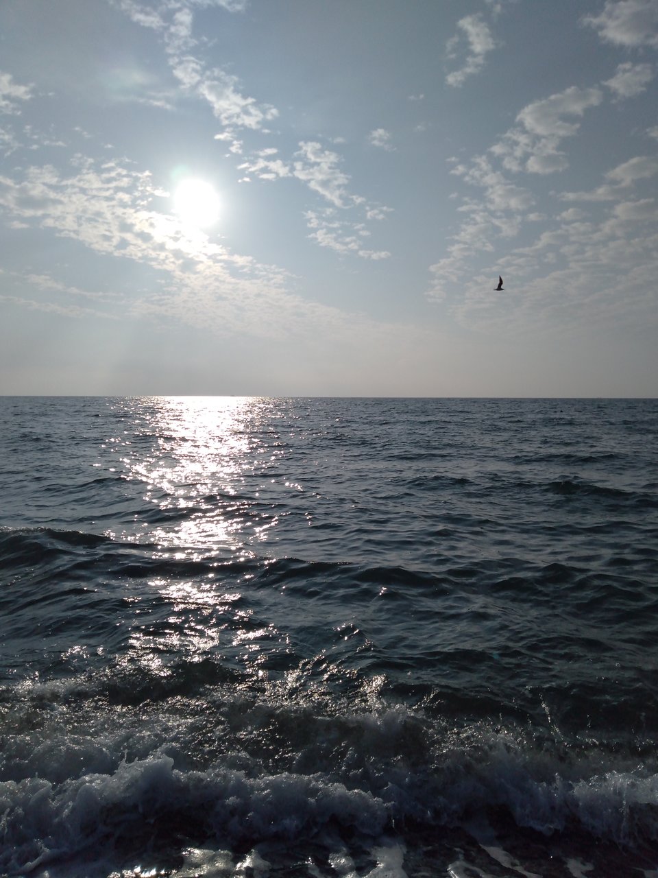  Страница 79 - Форум 