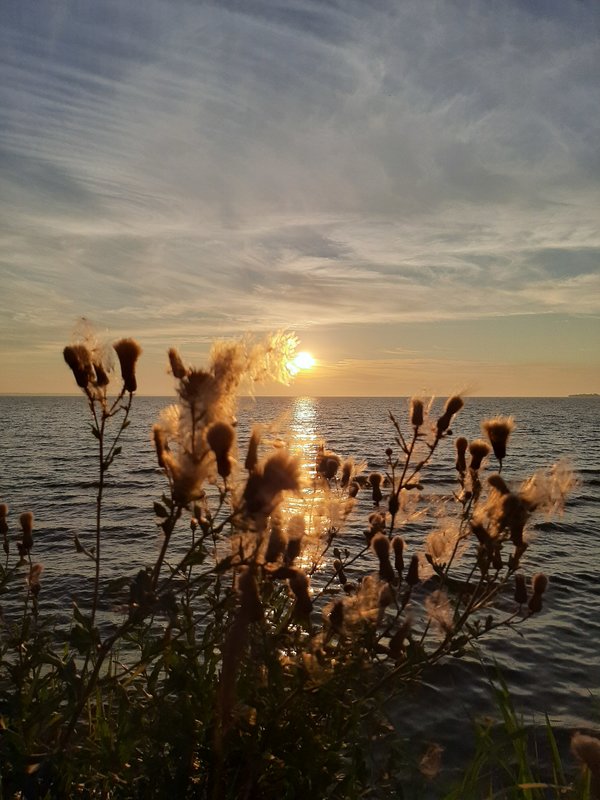  Страница 79 - Форум 