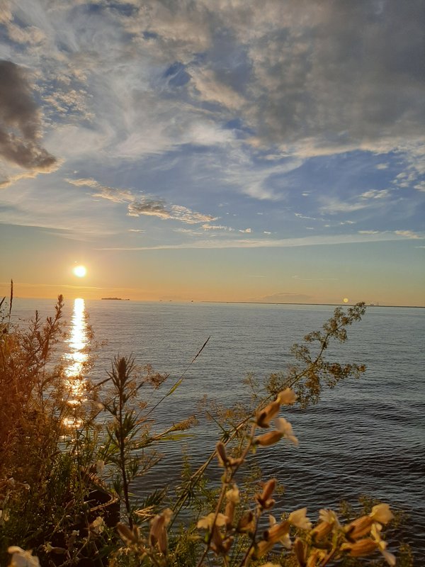  Страница 80 - Форум 