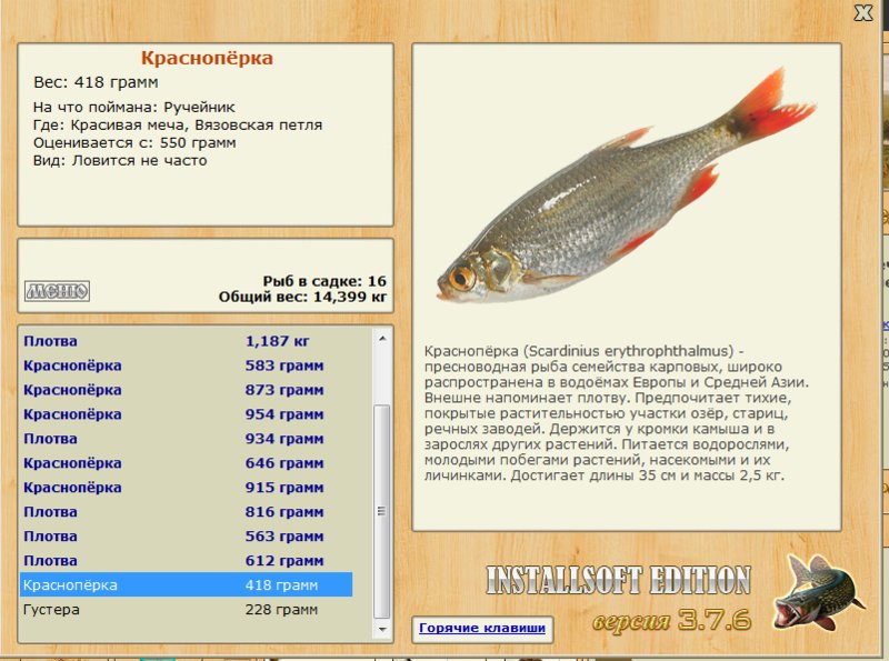 Вязовская петля 