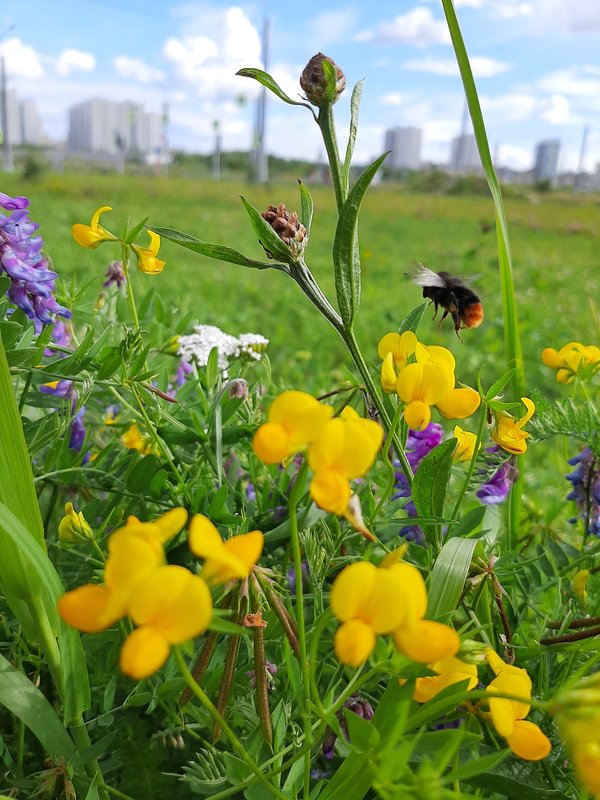  Страница 80 - Форум 