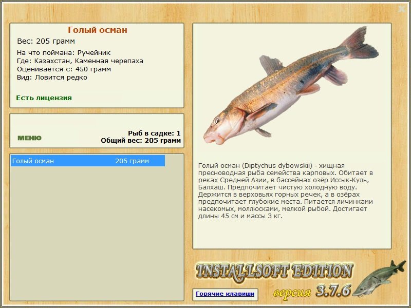 Каменная черепаха 