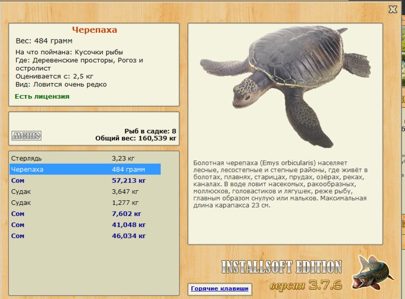 Рогоз и остролист 