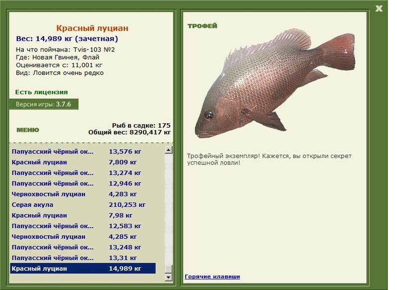 Красный луциан 