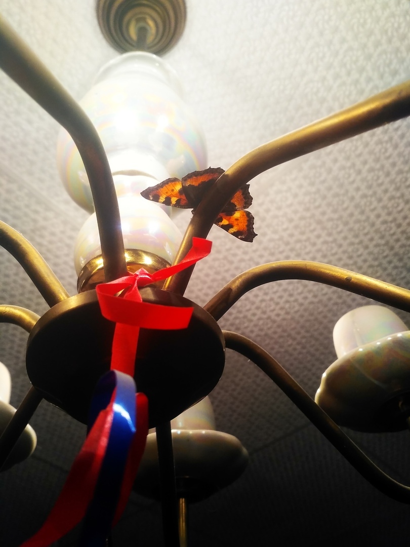  Страница 80 - Форум 