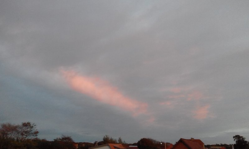  Страница 81 - Форум 