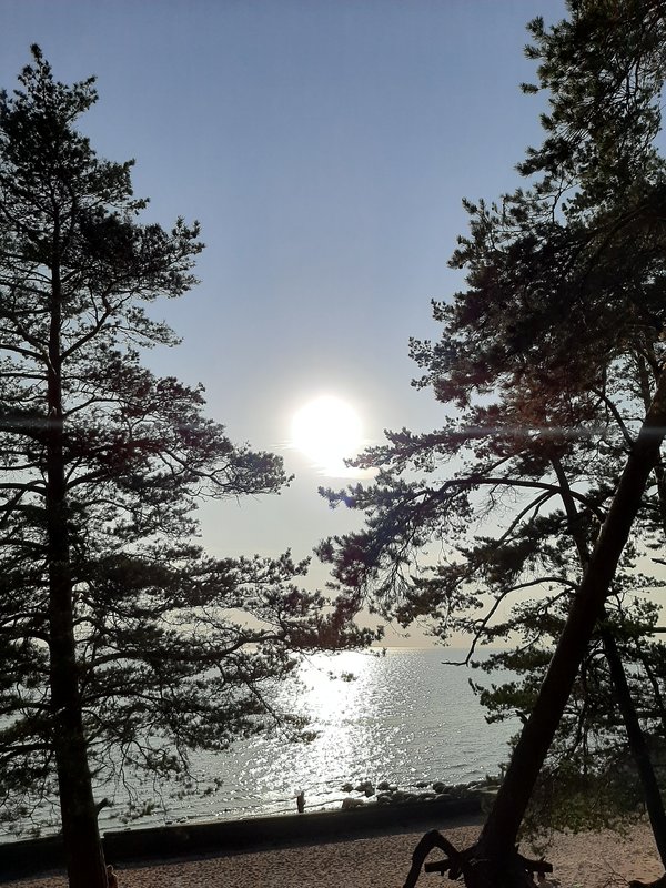  Страница 81 - Форум 